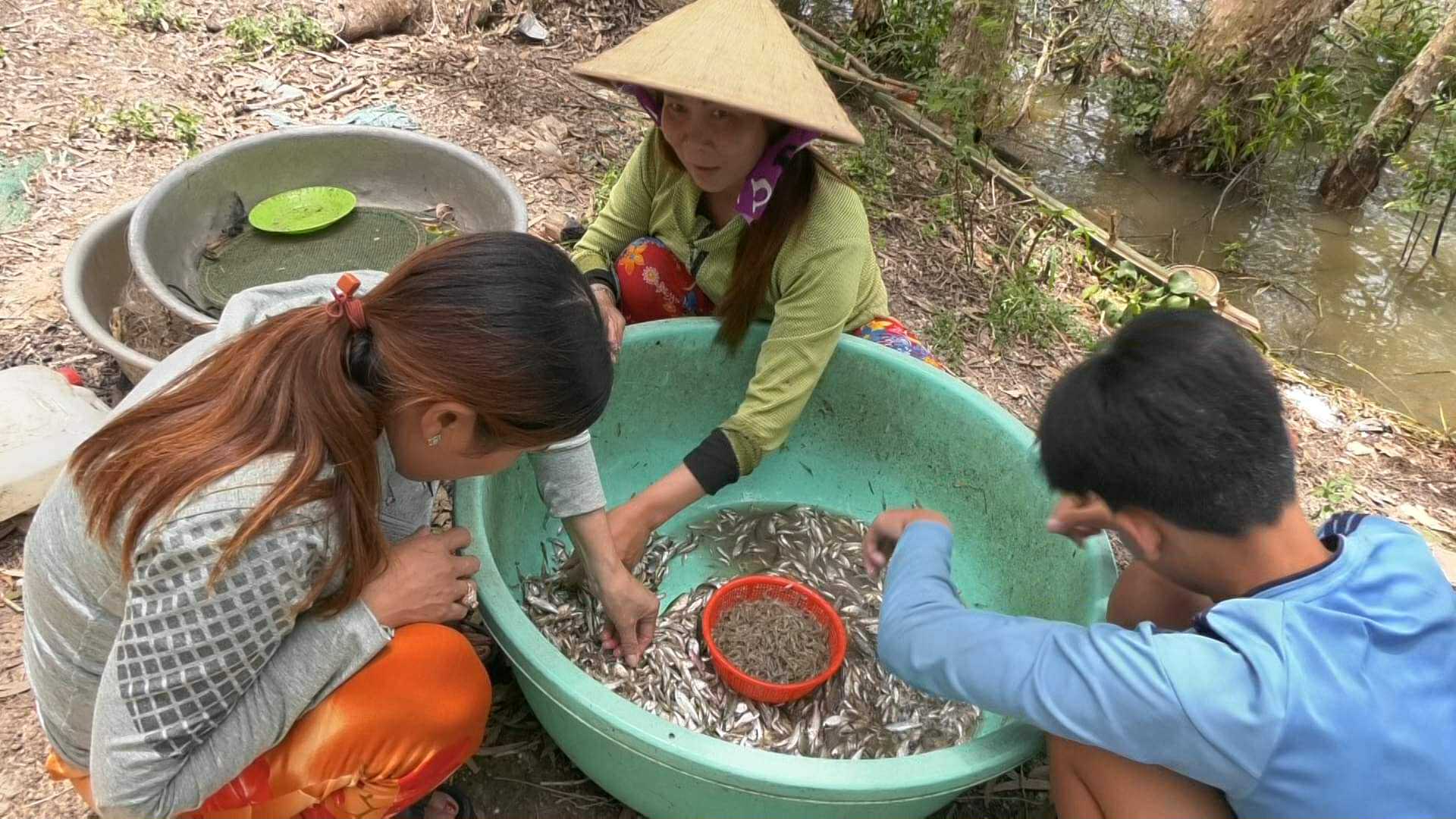 Đánh bắt thủy sản mưu sinh mùa nước nổi Bà Bùi Thị Chinh đội nón lá đang lựa cá tép đã bắt được sau khi dỡ dớn