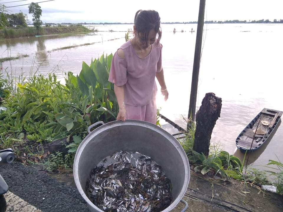 Đánh bắt thủy sản mưu sinh mùa nước nổi Bà Nguyễn Thị Lan thu hoạch cá mỗi ngày mùa nước nổi