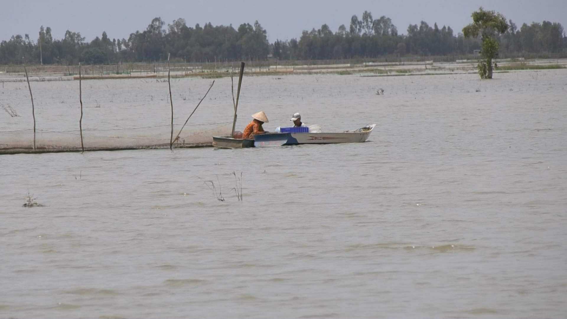Đánh bắt thủy sản mưu sinh mùa nước nổi Vợ chồng bà Chinh ông Phương đặt dớn bắt cá mùa nước nổi