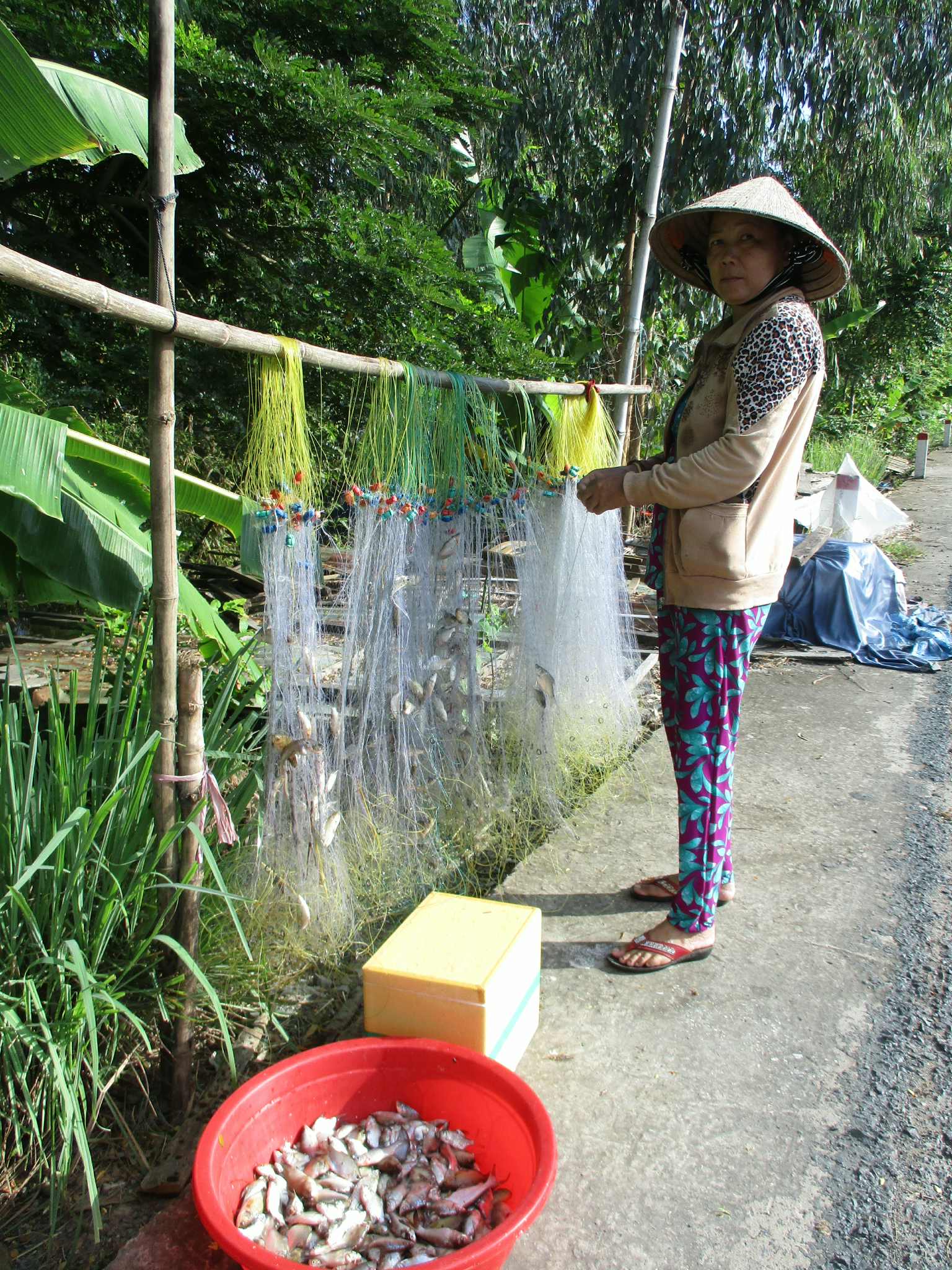 Đánh bắt thủy sản mưu sinh mùa nước nổi Bà Khúc Thị Sàng gỡ cá sau khi giăng lưới