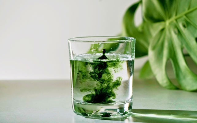 Chlorophyllin là một dạng diệp lục bán tổng hợp, tan trong nước - Ảnh minh họa: AVRORRA/Canva