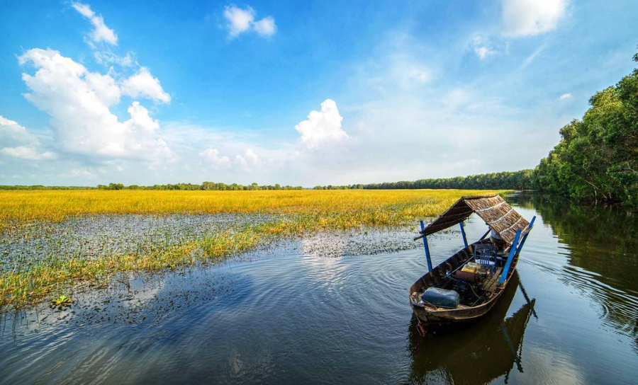 Vườn quốc gia Tràm Chim (Tam Nông, tỉnh Đồng Tháp) – cách TP.HCM khoảng 150 km. Từ Sài Gòn, bạn có thể đi xe khách về thị xã Tràm Chim sau đó bắt taxi hoặc xe ôm vào cổng vườn. Nếu đi xe máy hay ô tô tự lái, tuyến đường thuận tiện nhất là theo quốc lộ 1A đến ngã ba An Hữu rồi rẽ vào quốc lộ 30, chạy thẳng đến Tam Nông. Về đến vườn quốc gia Tràm Chim, bạn sẽ bị thu hút bởi vẻ đẹp đặc trưng của vùng đất miền Tây. Nơi có những cánh đồng lúa bạt ngàn, xanh mát. Hay chiêm ngưỡng một mùa nước nổi xanh tốt (khoảng tháng 9 đến tháng 12), điểm xuyến sắc hồng của hoa sen, hoa súng nở rực. Ảnh: Check-in Viet Nam