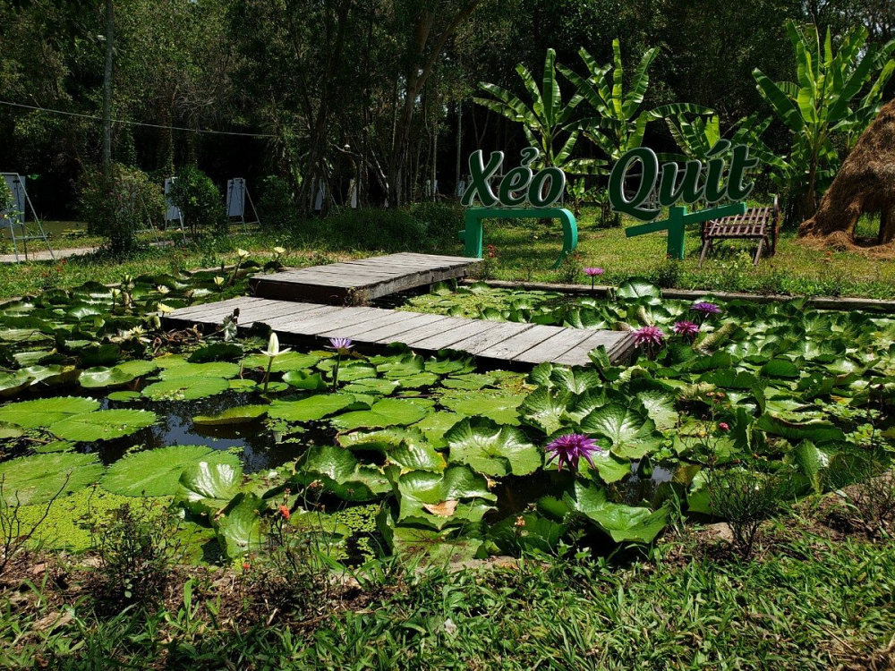 Nếu có dịp ghé qua Đồng Tháp, đừng bỏ qua khu di tích Xẻo Quýt (Cao Lãnh, tỉnh Đồng Tháp) cách TP.Cao Lãnh khoảng 30 km và TP.HCM chừng 170 km. Từ Sài Gòn, bạn có thể đi xe khách đến Cao Lãnh rồi thuê xe máy hoặc taxi vào khu di tích. Nếu đi xe tự túc, bạn chạy theo quốc lộ 1A, đến An Hữu rẽ vào quốc lộ 30, sau đó theo hướng Cao Lãnh – Mỹ Long. Đường khá dễ đi, có bảng chỉ dẫn rõ ràng.. Với khẩu hiệu 'Bảo tồn lịch sử - Gìn giữ hồn quê. Khác với phần lớn những địa điểm du lịch sông nước khác, nơi đây là sự kết hợp phong phú bởi nhiều hoạt động như tham quan các di tích lịch sử, văn hóa, khám phá ao sen với hệ thực vật đa dạng và tham gia các trò chơi đậm chất dân dã... Ảnh: Freepik