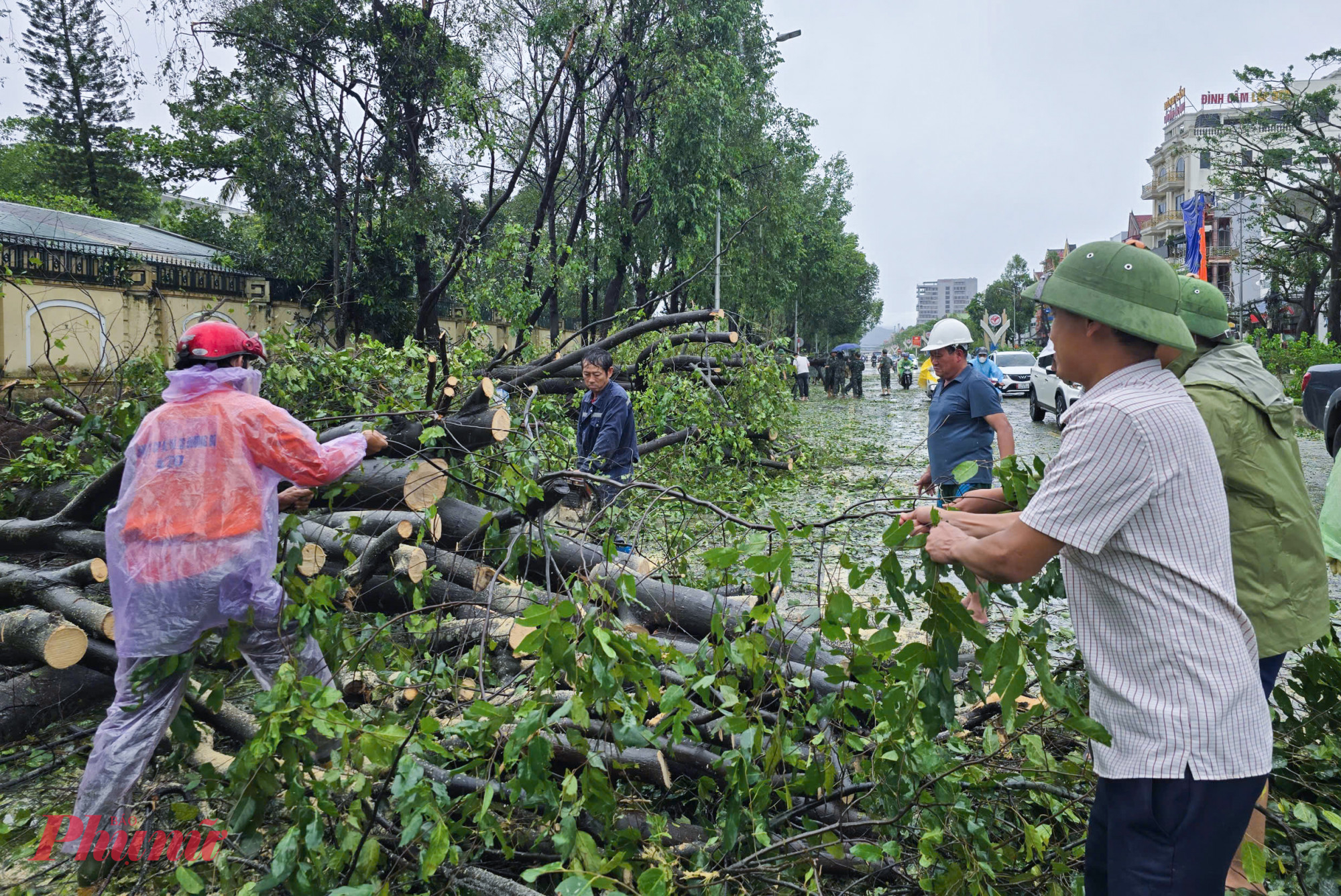Hàng trăm cây xanh lâu năm bị gió quật ngã, chắn ngang lòng đường khiến giao thông bị ách tắc. 