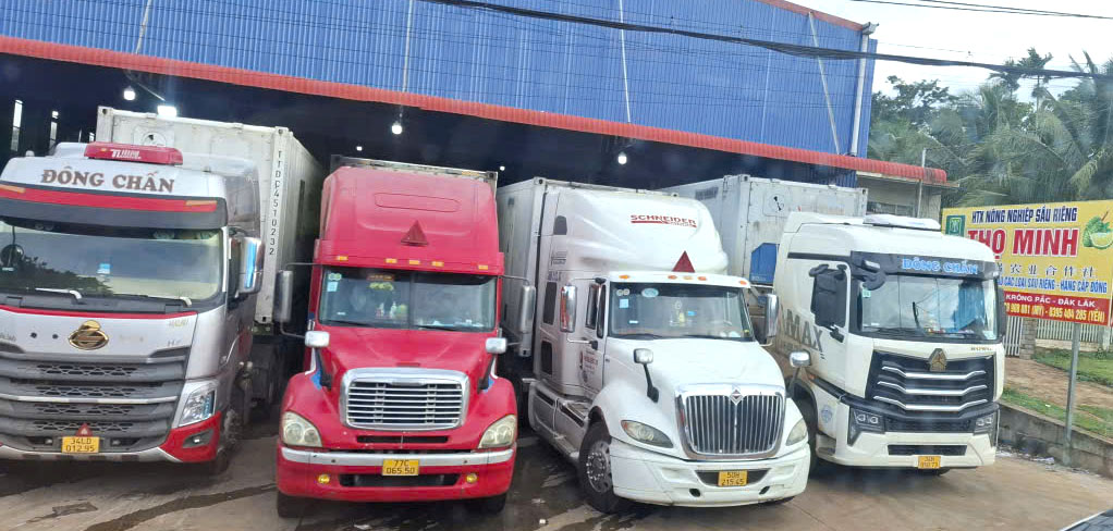Một nửa Đắk Lắk…yêu thương Xe đầu kéo lui vào vựa sầu riêng ven quốc lộ 26