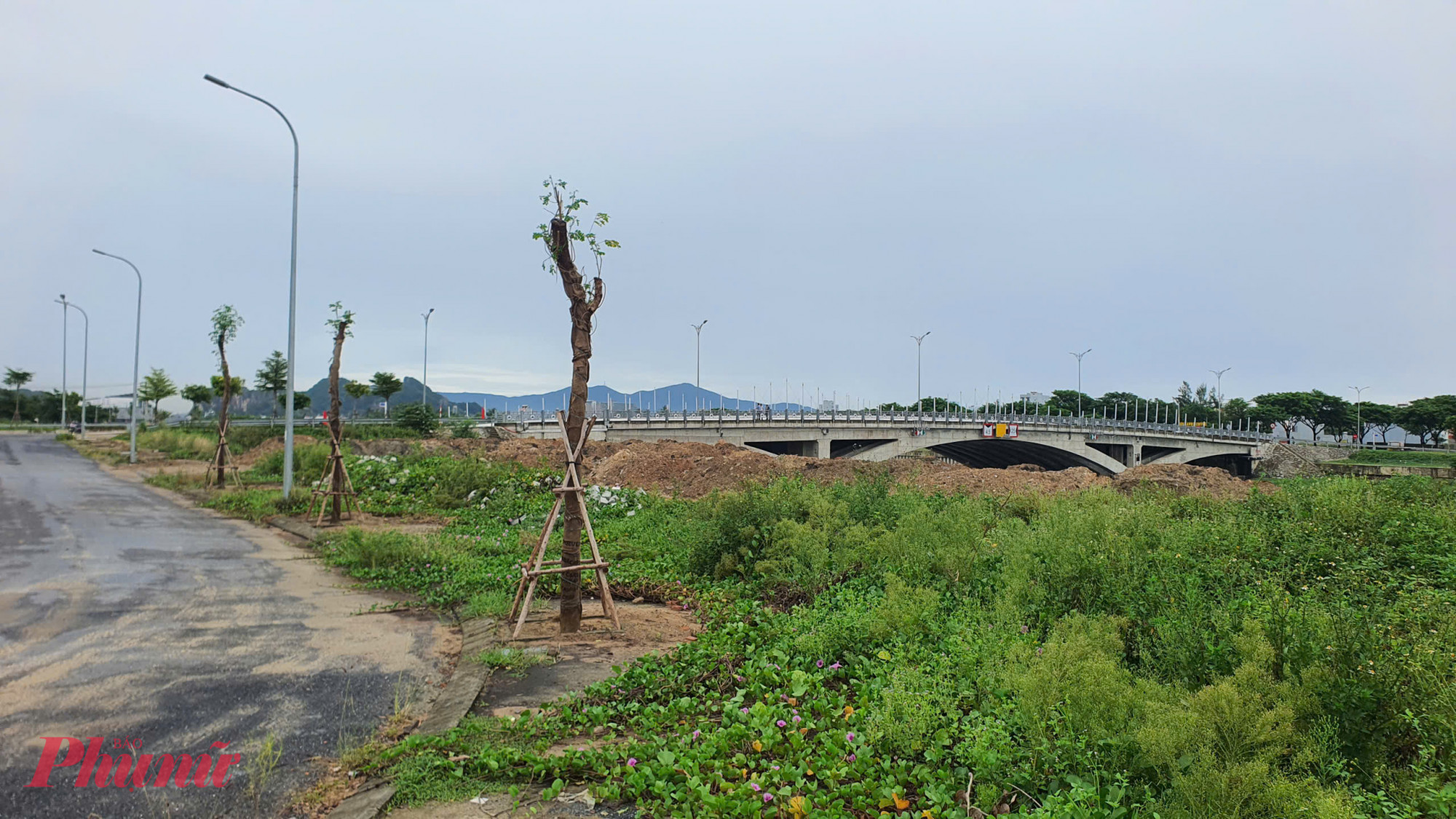 Ông Chính nói: “Sông Cổ Cò gần biển, là con sông có giá trị về mặt kinh tế và du lịch nhưng không thể chia nát nó ra như vậy. Nhìn vào hình thức quy hoạch ven sông Cổ Cò thì thấy hơi dày đặc, và nó sẽ tạo ra mật độ dân cư quá lớn và mất đi hệ sinh thái của dòng sông. Thứ hai là giao thông dọc sông phải nhìn nhận cho tốt và phải để lại cây xanh mặt nước nhiều hơn. Đây là vấn đề quy hoạch mà các địa phương cần xem xét. Đừng vì giá trị đất cao mà… không quản lý được!”.