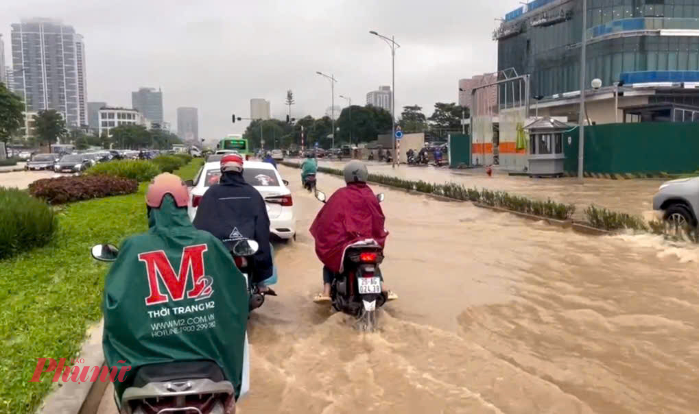 Các phương tiện bơi trong