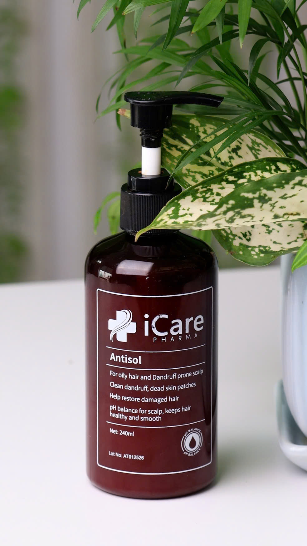 Dầu gội dược liệu Antisol