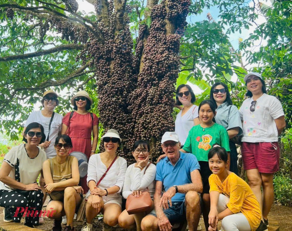Du khách chụp ảnh check-in bên cây đỏ - Ảnh: Q.H.