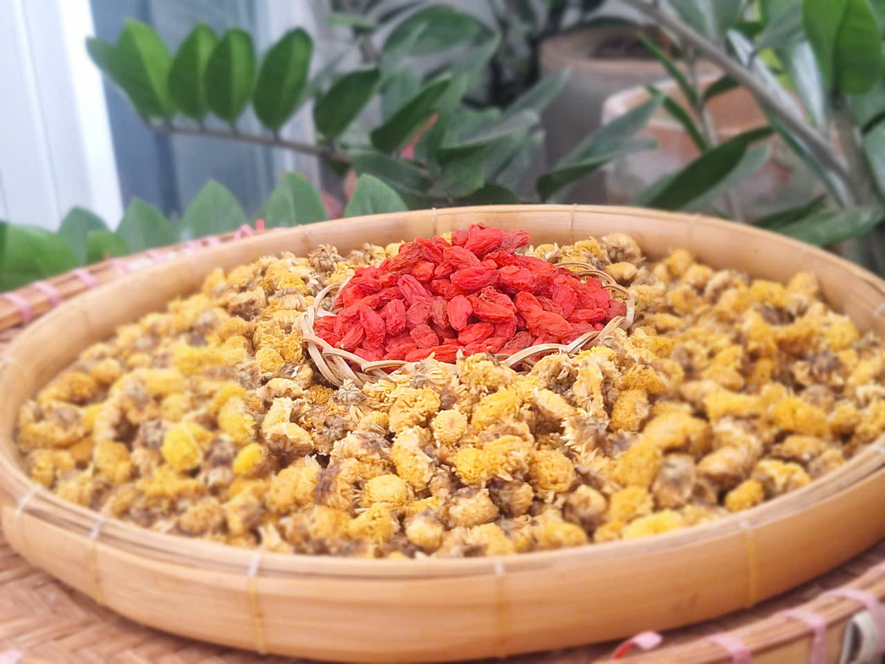 Hoa cúc, kỷ tử - những vị thuốc đặc hiệu giúp dưỡng gan, sáng mắt, ngừa đục thủy tinh thể