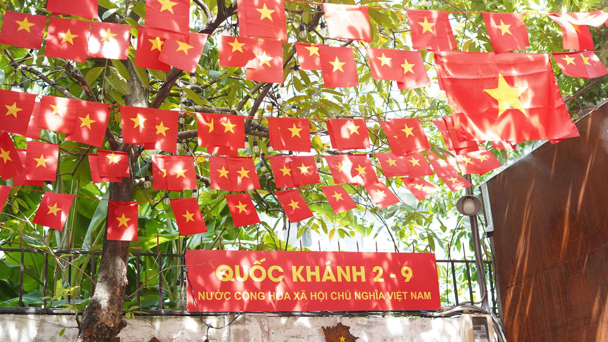 Sắc đỏ rợp không gian với hàng trăm lá cờ treo giữa cây xanh, tạo không khí lễ hội chào mừng Quốc khánh 2/9 - Ảnh: Như Ý