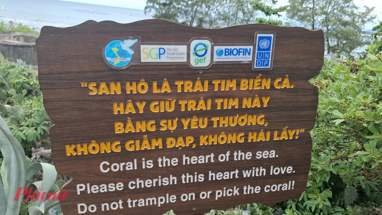 Lãng mạn và yên bình bến thúng Hòn Yến Địa phương khuyến cáo du khách khi ngắm san hô