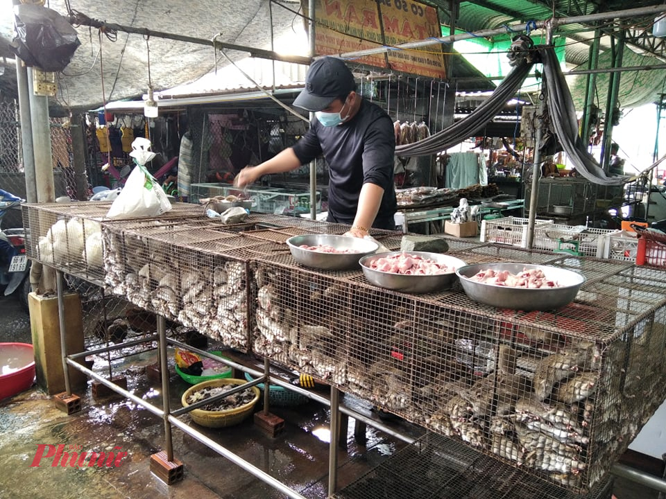 Săn chuột đồng mùa nước nổi ở Đồng Tháp Chuột đồng được bày bán ở nhiều chợ