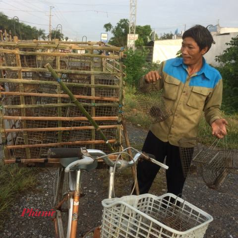 Săn chuột đồng mùa nước nổi ở Đồng Tháp Vui mừng trước thành quả sau một đêm đặt bẫy chuột đồng