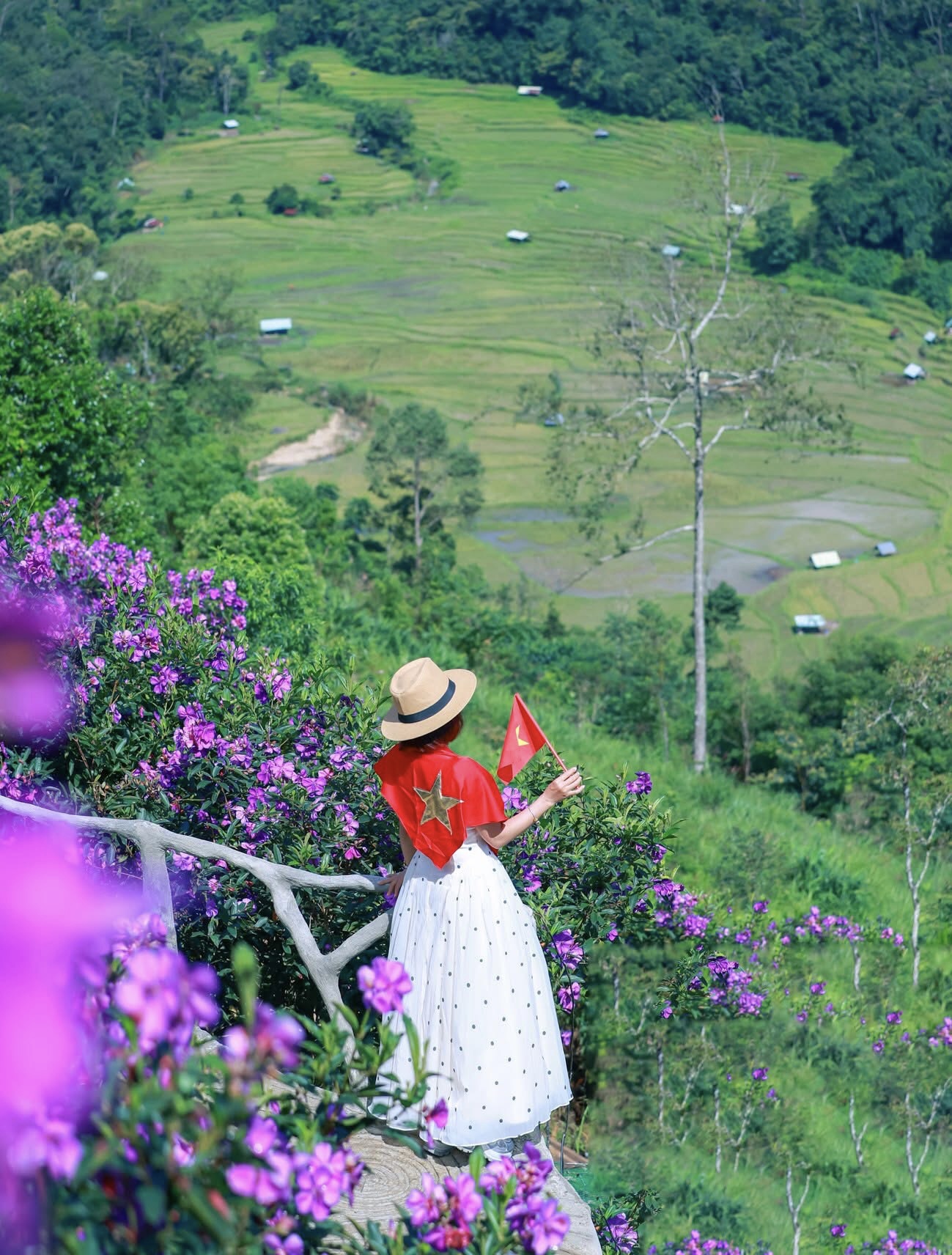 Giữa tiết thu dịu dàng, được đi trong không gian ngập tràn sắc tím, du khách dường như gạt bỏ hết những bộn bề lo âu thường nhật. Chỉ còn lại sự bình yên, rung động và cảm giác hòa mình trọn vẹn với thiên nhiên.