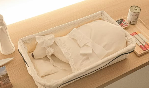 Những dịch vụ tang lễ cho thú cưng ngày càng sang trọng hóa