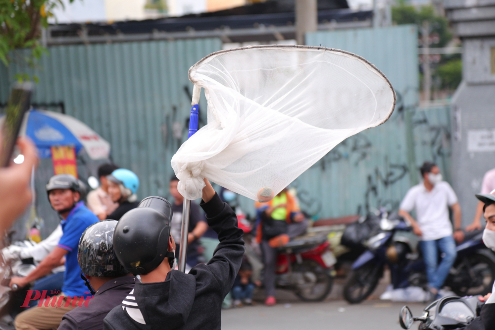 Các thanh niên này cho biết, cứ đến Rằm tháng 7 hàng năm lại mang vợt lưới dạng vợt cá để dễ dàng hứng tiền rơi từ trên cao. 