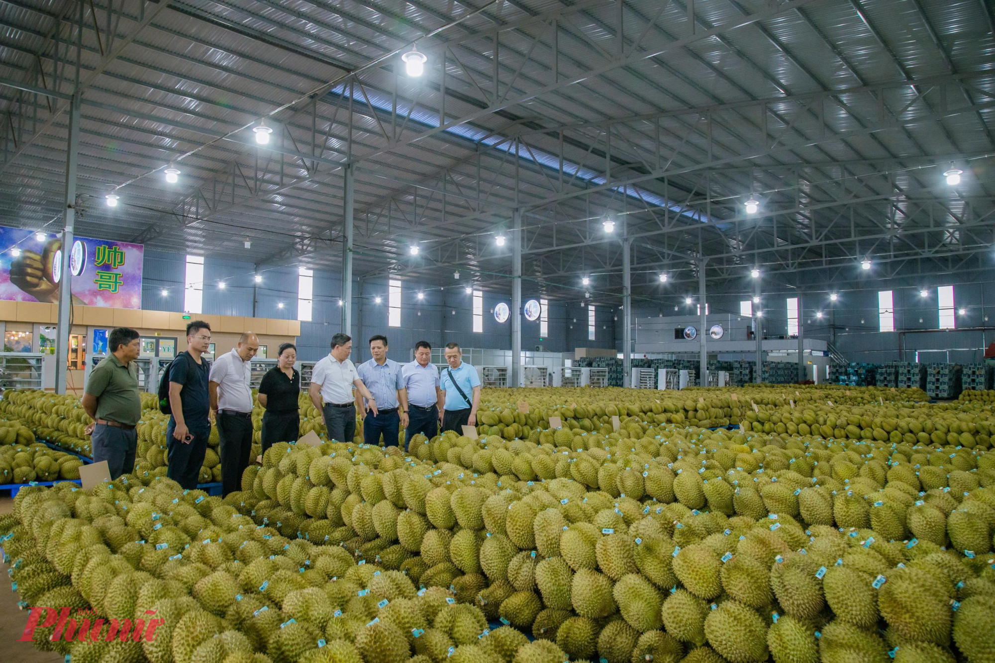 đoàn doanh nghiệp Trung Quốc đã có chuyến làm việc, thăm quan vùng trồng, cơ sở đóng gói và tìm hiểu cơ hội hợp tác với ngành hàng sầu riêng tại tỉnh Đắk Lắk.