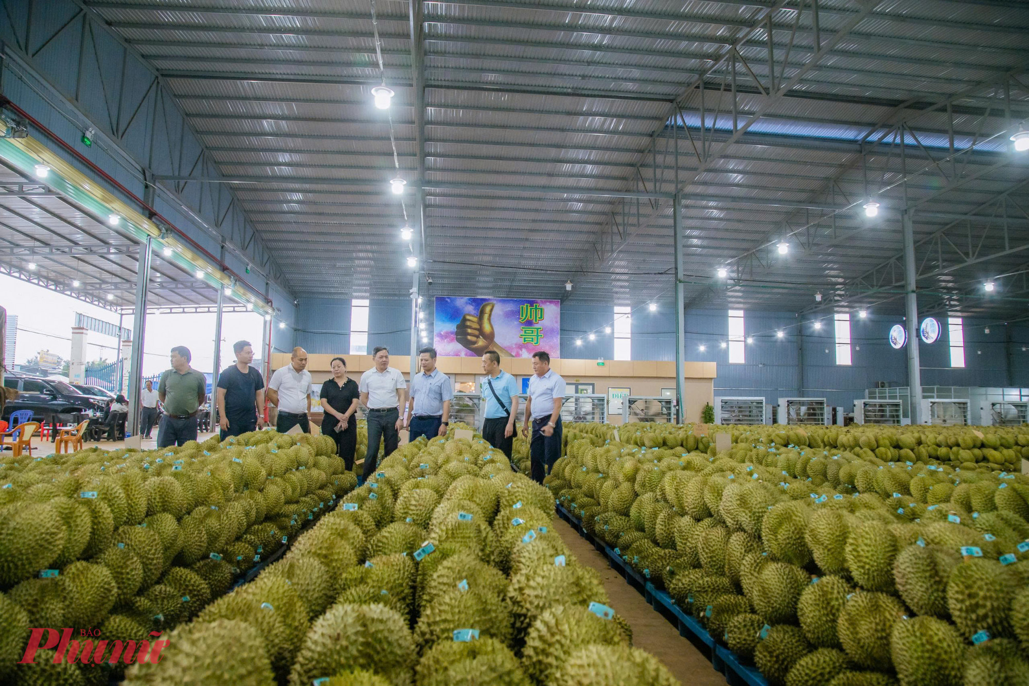 Sầu riêng Việt Nam trong mắt doanh nghiệp Trung Quốc  ngon, giá cả phải chăng, nguồn cung dồi dào nhưng cần nâng cao chất lượng.
