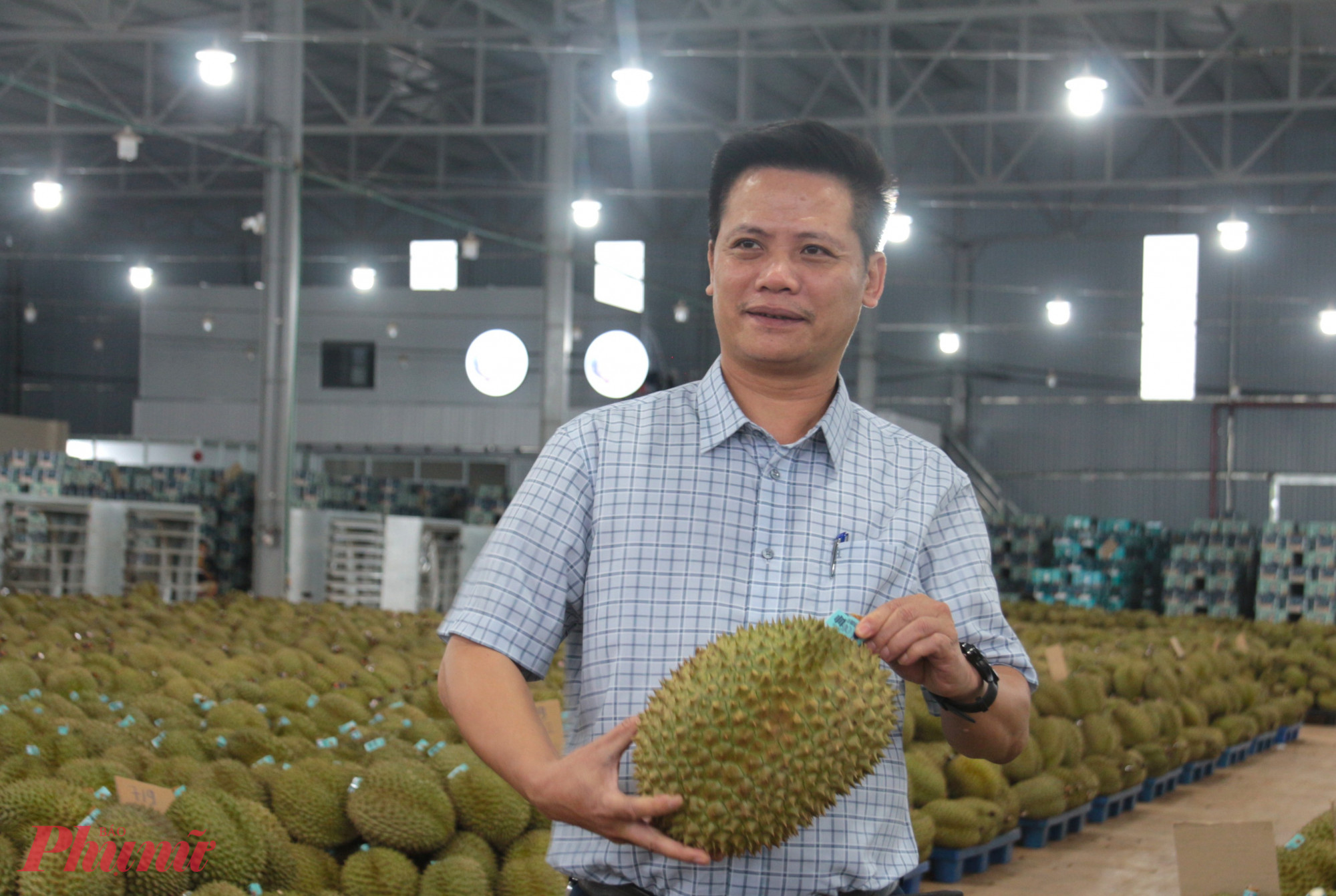 Ông Lê Anh Trung, Chủ tịch Hiệp hội Sầu riêng Đắk Lắk khuyến cáo, để đảm bảo sản phẩm đạt tiêu chuẩn, hiệp hội khuyến cáo các nhà vườn và thương lái chỉ nên thu hoạch khi quả đã đủ tuổi. 
