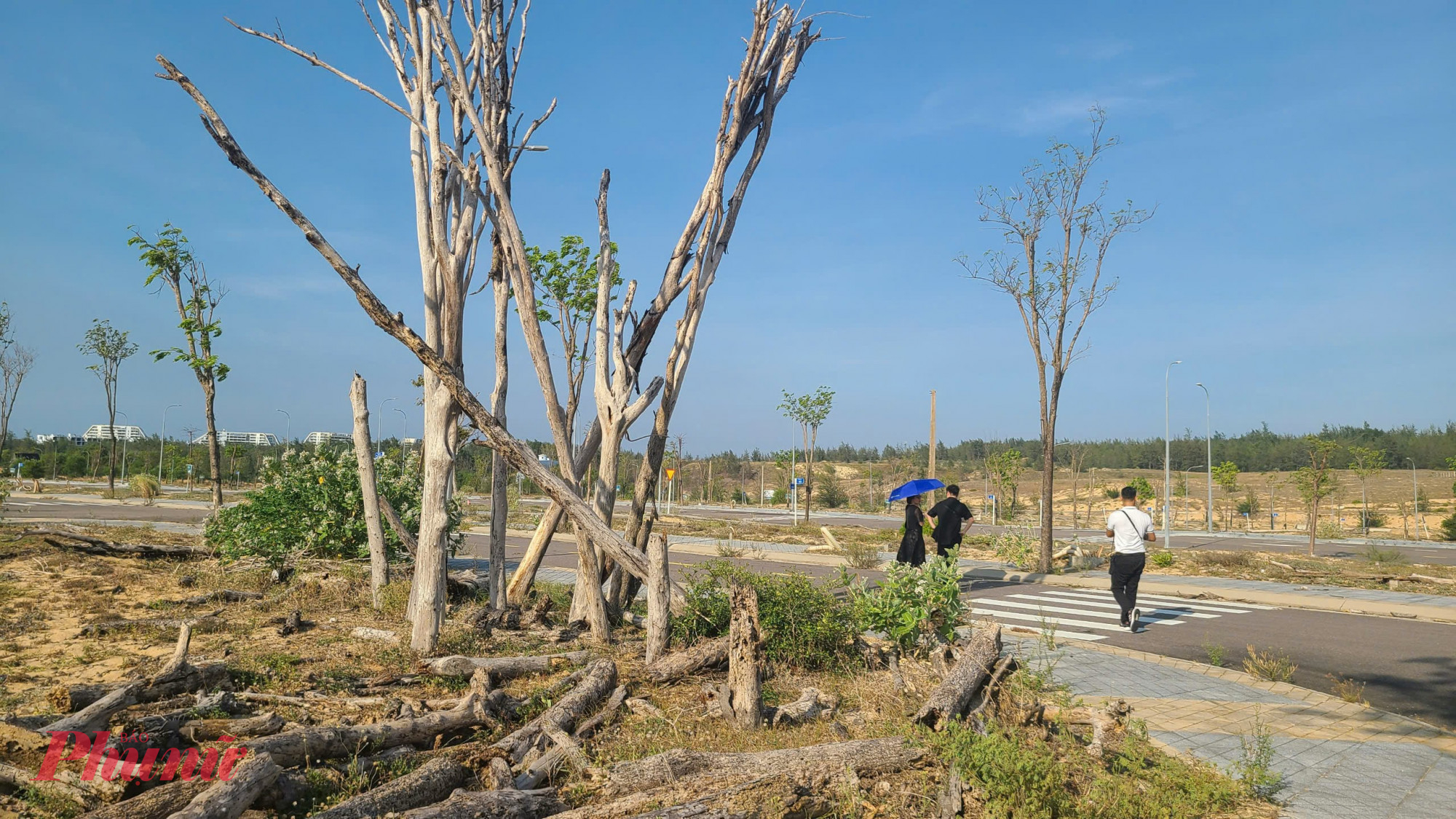 Dự án Nhơn Hội New City do Công ty CP bất động sản Phát Đạt làm chủ đầu tư sau gần 7 năm thi công, bán hàng vẫn còn ngổn ngang