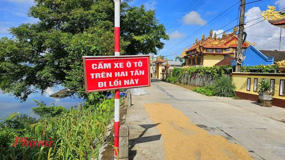 Theo tìm hiều của phóng viên, dọc sông Bồ đoạn khu vực thôn Phò Nam A, xã Quảng Điền (TP Huế) xuất hiện nhiều điểm sạt lở rất nghiêm trọng, kéo dài khoảng 700m, nhiều nhà dân sạt lở ăn sâu vào sát móng nhà bếp và có nguy cơ sạt lở tiếp sẽ gây ảnh hưởng cuộc sống của người dân.