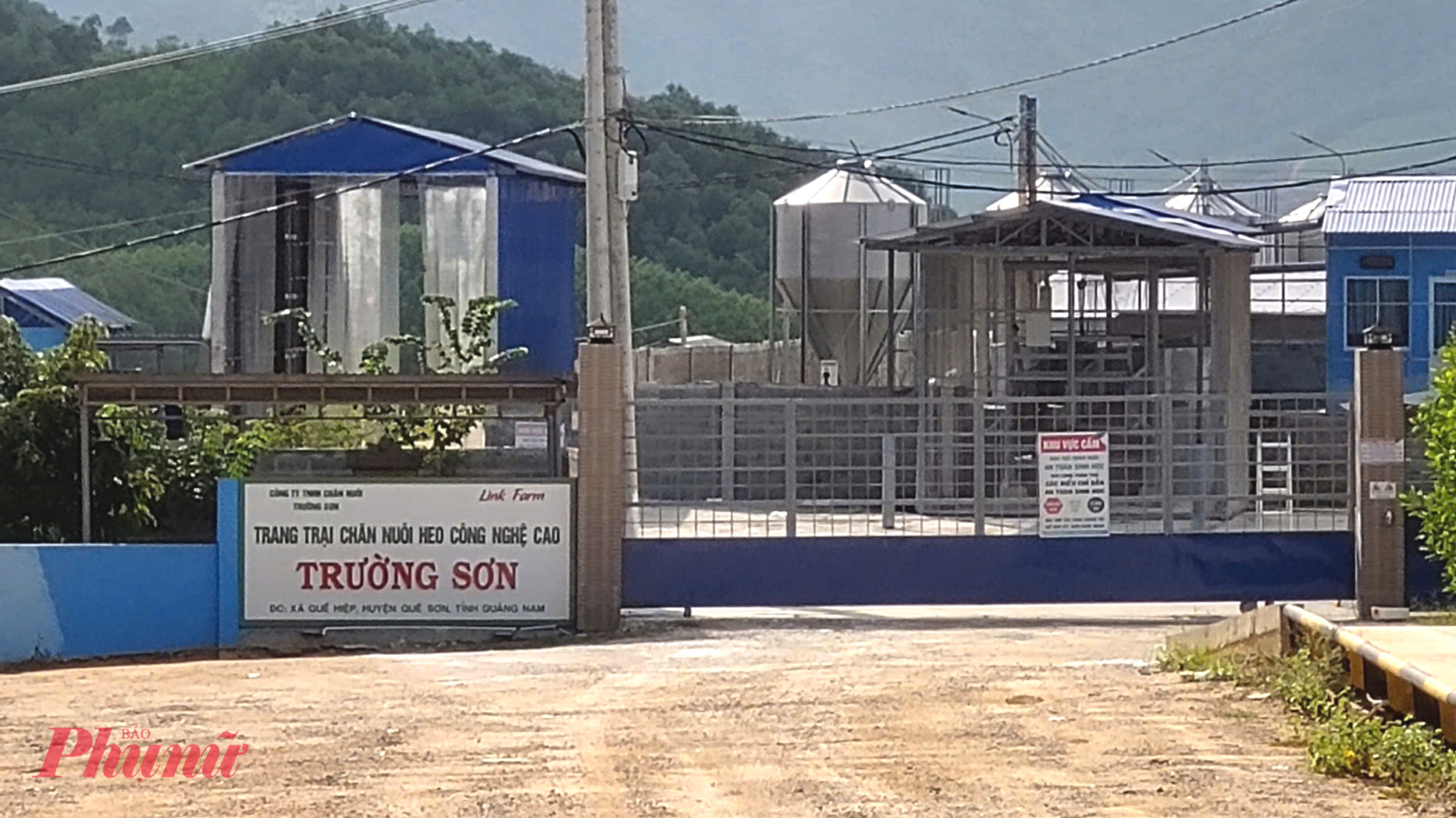 Trang trại chăn nuôi heo tập trung tại xã Quế Sơn Trung với quy mô chăn nuôi 10.000 con lợn thịt/lứa.