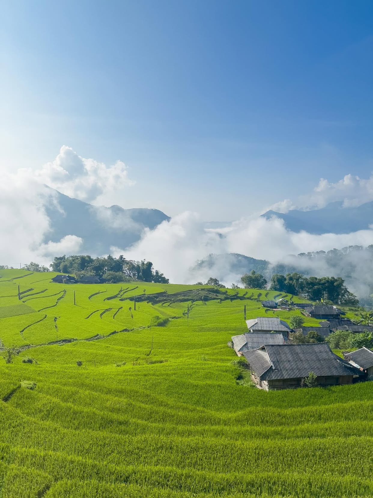 Vào những ngày nắng nhẹ, ánh sáng chiếu xuống thung lũng, phản chiếu trên những triền núi xanh thẳm và dòng sông uốn lượn phía xa, làm khung cảnh thêm phần kỳ vĩ và thơ mộng khó tả.