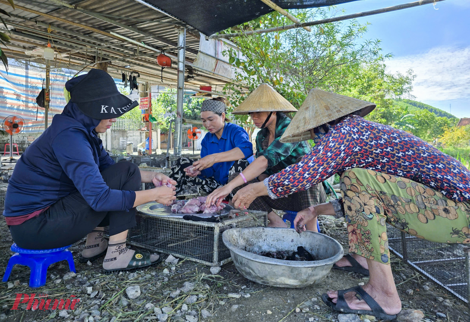 Những ngày này, đi dọc các tuyến đường ở làng Thọ Bằng (xã Bình Minh, tỉnh Nghệ An) không khó để bắt gặp những cơ sở thu mua và bán chuột đồng dọc 2 bên đường. Những cơ sở này bày bán đủ loại từ chuột còn sống, chuột làm thịt sẵn và chuột đã qua sơ chế.