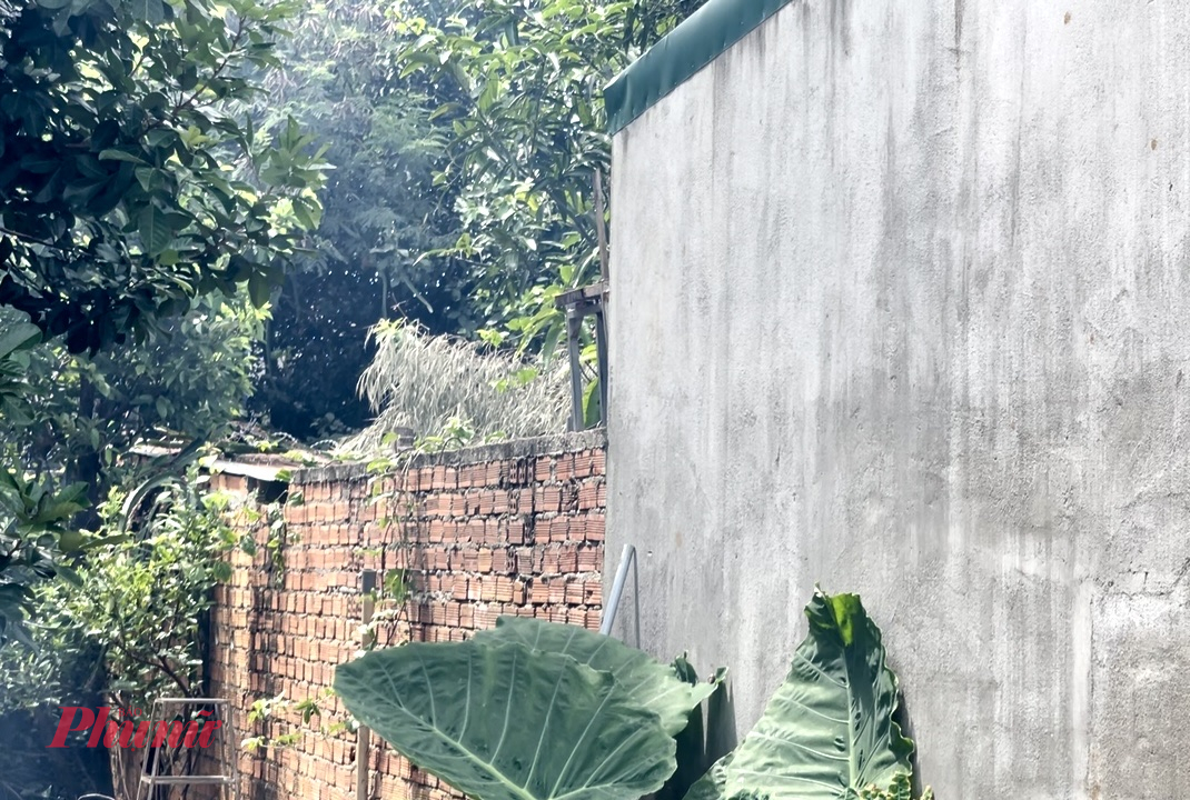 Bức tường - nơi cháu Trần Tấn P. trèo qua và được người bạn hàng xóm cứu giúp - Ảnh: B.X.
