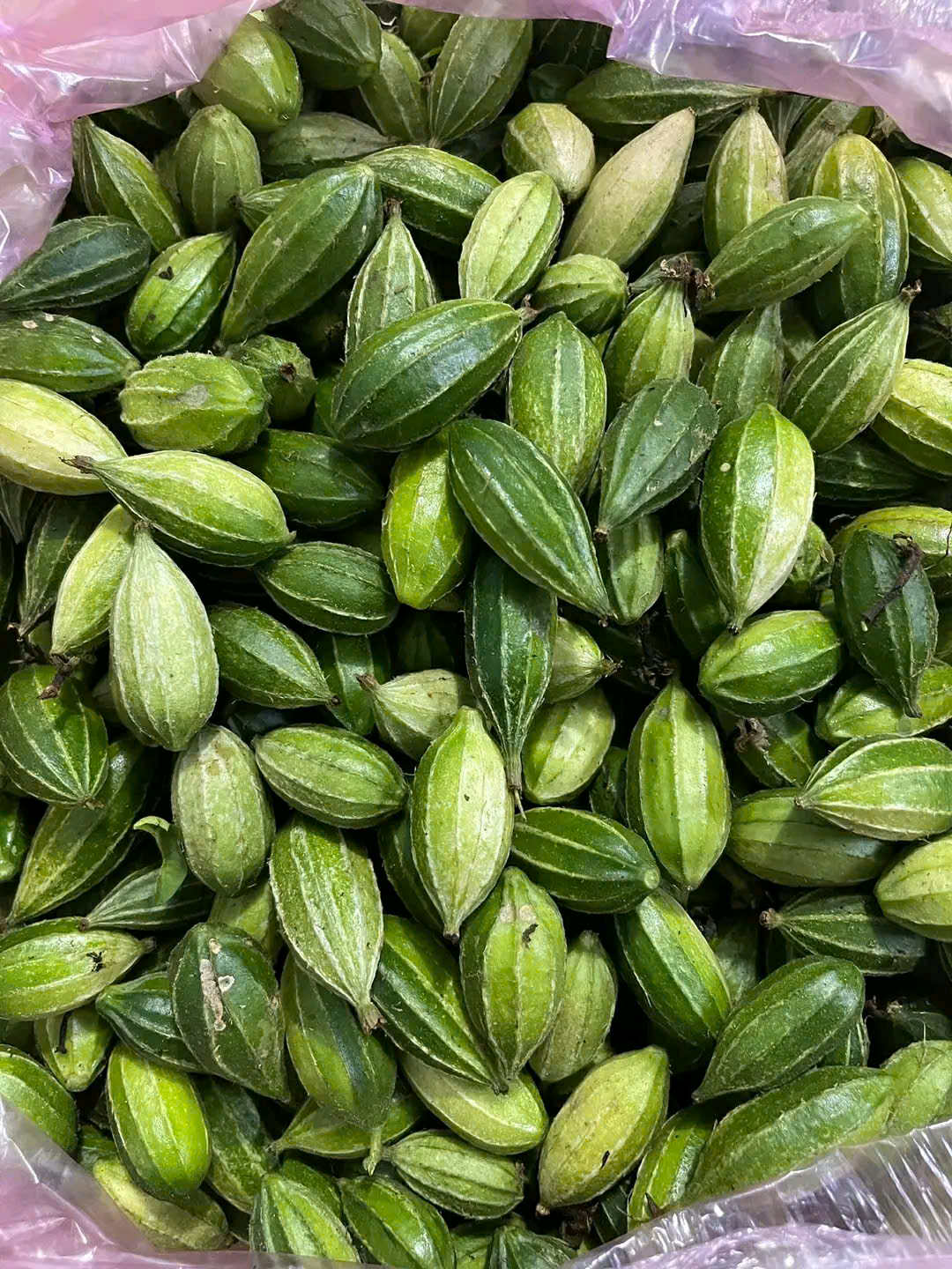 Quả poh pang. Ảnh: Cỏ Thi