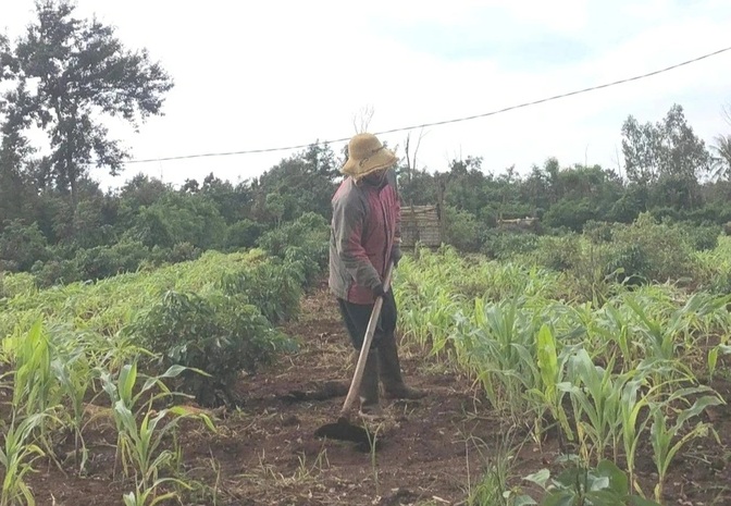 Sau khi  bị chấm dứt hợp đồng trái quy định, các giáo viên làm đủ nghề để kiếm sống