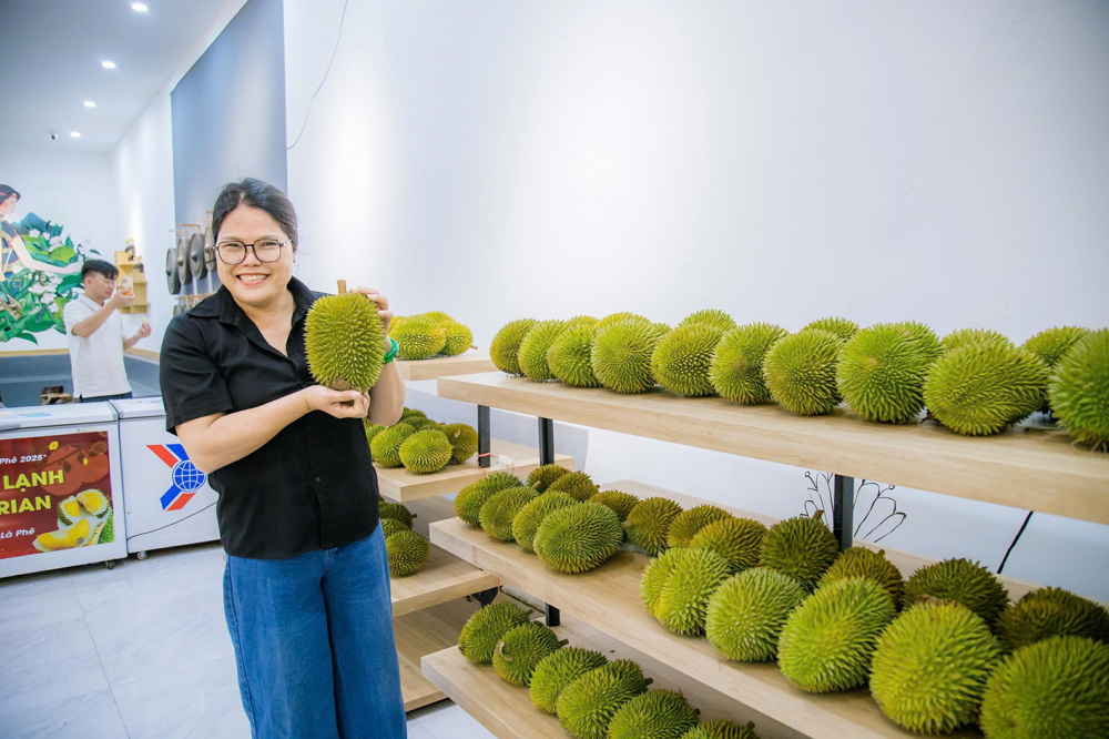Mỗi tháng, chị Nguyễn Thị Hường xuất bán hàng trăm tấn sầu riêng Musang King qua Malaysia và Trung Quốc