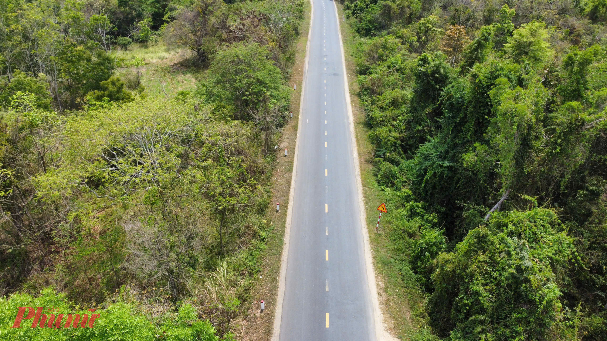 Ông Trương Công Thái, Phó chủ tịch UBND tỉnh Đắk Lắk cho biết, tỉnh đã thống nhất đưa quốc lộ 29 vào kế hoạch đầu tư công trung hạn giai đoạn 2026-2030, với tổng vốn dự kiến 11.000 tỷ đồng. Nếu được chấp thuận, dự án sẽ triển khai thi công từ năm 2026. 