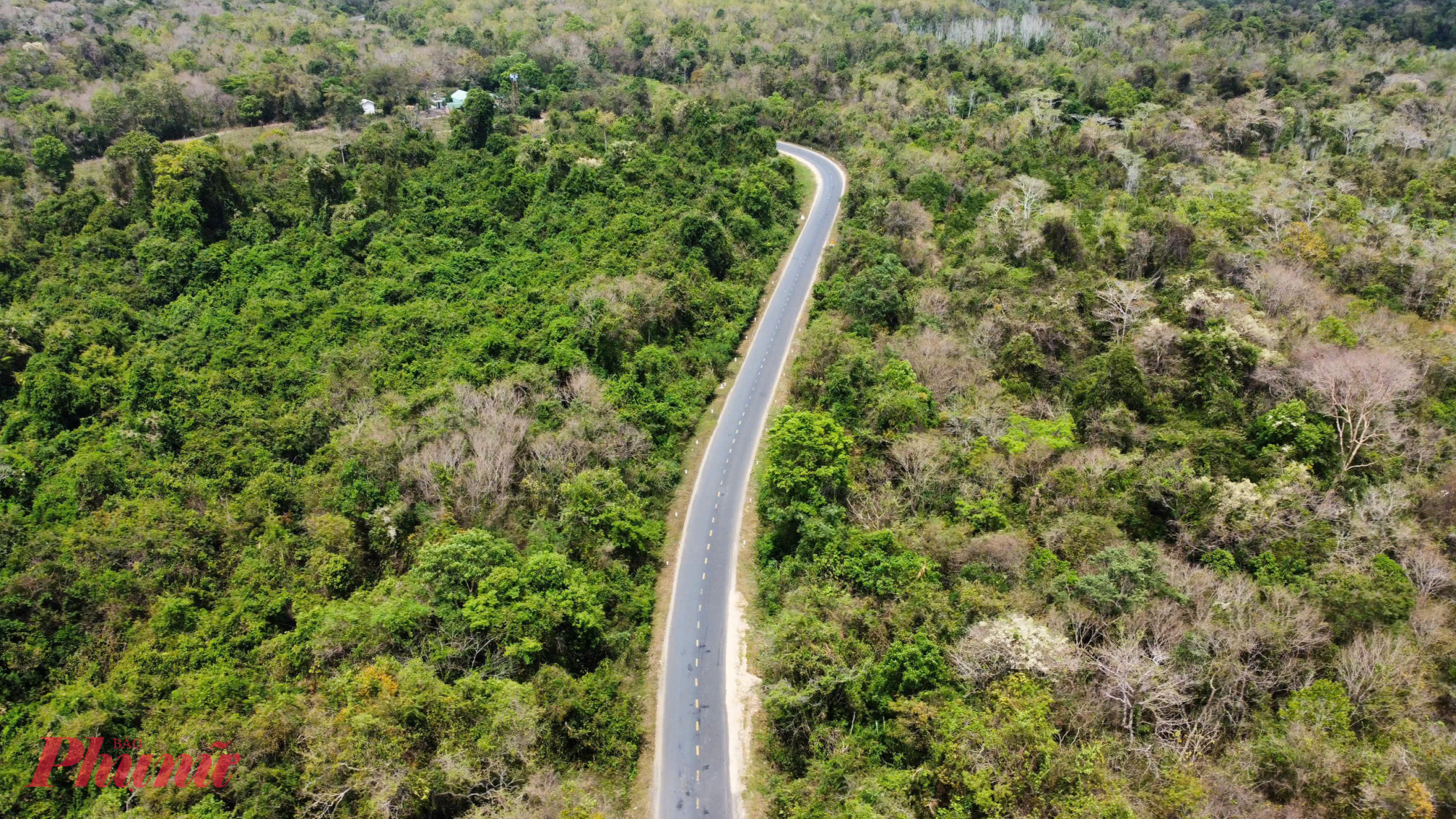  Tuyến đường này có tổng chiều dài 293km, quy mô cấp III - IV, 2-4 làn xe. Điểm đầu tuyến nằm tại cảng Vũng Rô (tỉnh Phú Yên) – cửa ngõ quan trọng ra Biển Đông, và điểm cuối tại cửa khẩu Đắk Ruê (tỉnh Đắk Lắk).