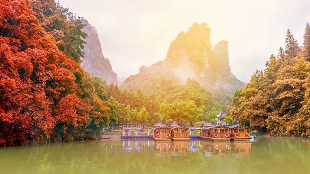Rừng quốc gia Trương Gia Giới, Trung Quốc khoác lên chiếc áo cam đỏ rực rỡ khi vào thu. Tản bộ dọc theo dòng suối Golden Whip, đi thuyền tham quan hồ Bảo Phong để chiêm ngưỡng lá phong và cây bạch quả chuyển màu. Đi thang máy Bách Long (thang máy ngoài trời cao nhất thế giới) để lên đỉnh núi là một trải nghiệm ngắm lá thu vô cùng ngoạn mục. Tháng 10 là thời điểm tốt nhất để ghé thăm.