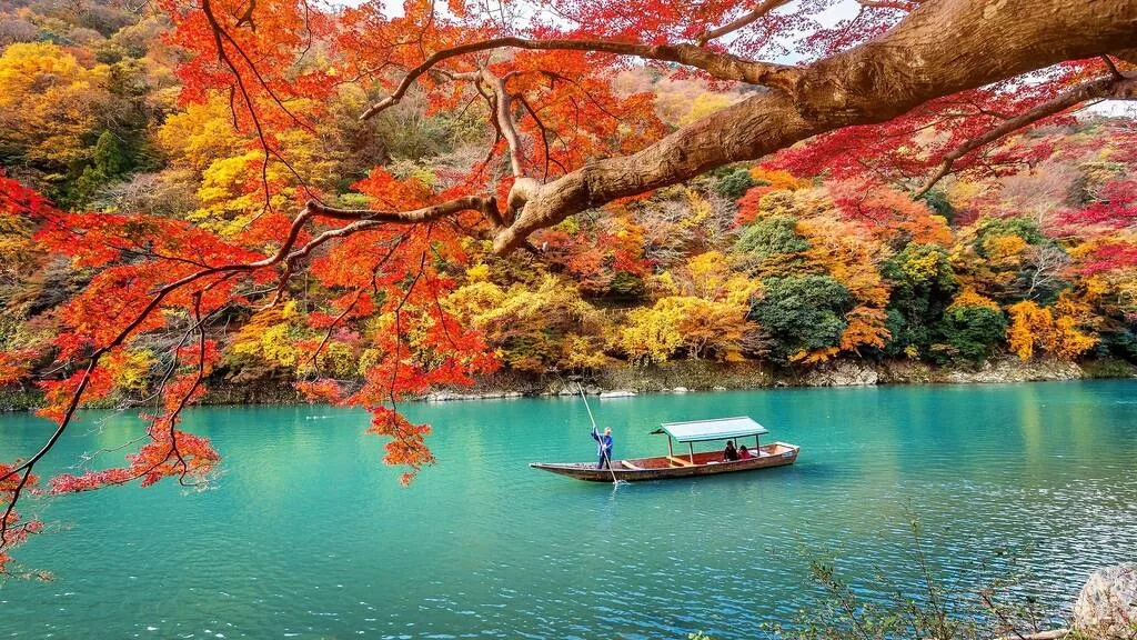 Kyoto, Nhật Bản có rất nhiều lễ hội vào mùa thu. Lễ hội Arashiyama Momiji có diễu hành thuyền, trà đạo truyền thống và đi bộ đường dài. Lễ hội Gion Odori có  trình diễn múa của geisha, còn lễ hội Lửa Hitaki-sai tại Fushimi Inari là tạ ơn các vị thần đã ban cho mùa màng bội thu. Mùa thu cũng là thời điểm để thưởng thức hạt dẻ hấp ăn với cơm, nấm matsutake nướng và bí đỏ. Tháng 11 là thời điểm tốt nhất để đến Kyoto.