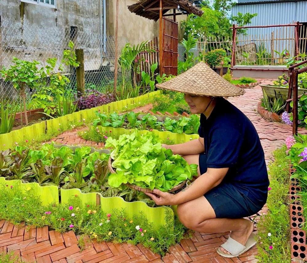 Đạt thích nhất khoảnh khắc thu hoạch thành quả ở vườn.