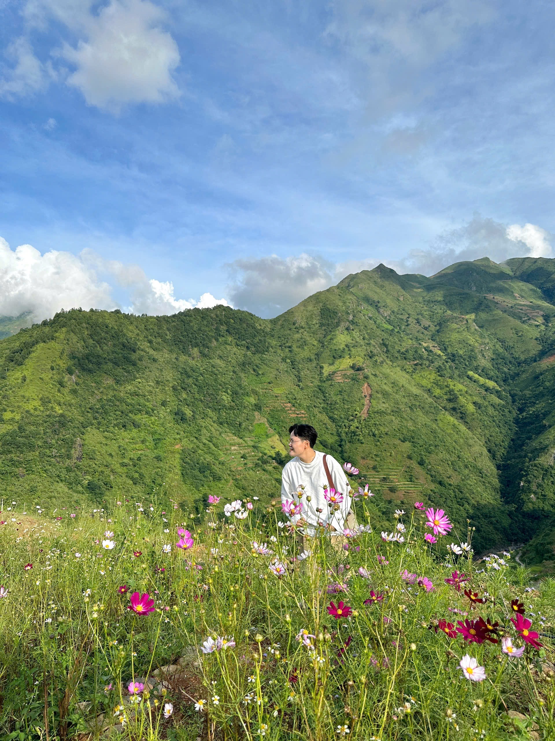 Du khách đến đây không chỉ để ngắm hoa, chụp ảnh mà còn để hòa mình vào thiên nhiên, tận hưởng bầu không khí trong lành, mát mẻ đặc trưng của vùng cao.