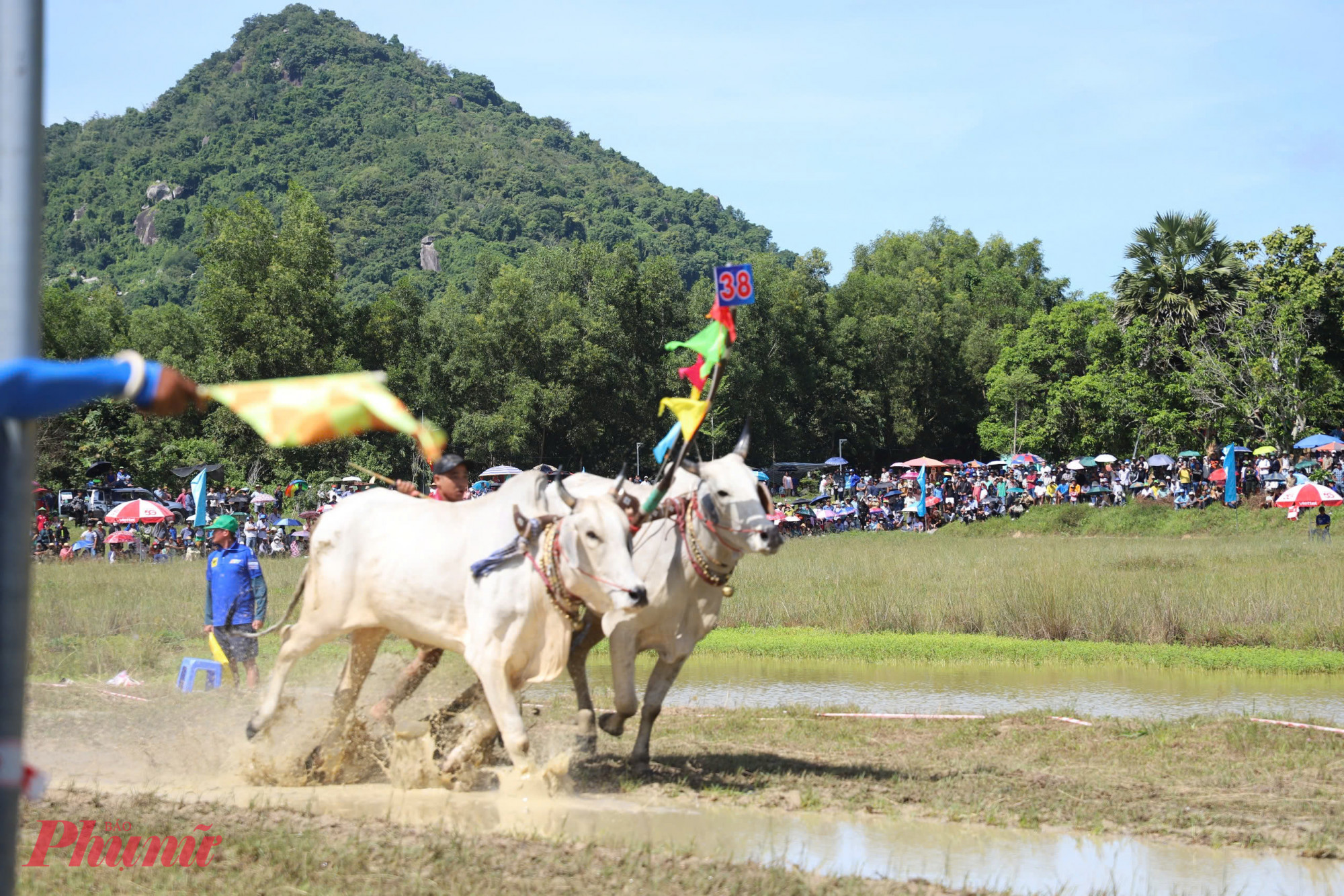 Ông Lê Trung Hồ - Phó Chủ tịch UBND tỉnh An Giang - cho biết, hội đua bò Bảy Núi lần thứ 30 năm 2025 là dịp quan trọng để: Bảo tồn và phát huy giá trị văn hóa truyền thống của đồng bào Khơ me An Giang; tạo sân chơi lành mạnh, bổ ích, khuyến khích phong trào thể dục thể thao quần chúng; quảng bá hình ảnh du lịch, văn hóa và con người An Giang đến bạn bè trong và ngoài nước; thắt chặt tình đoàn kết dân tộc, góp phần thúc đẩy phát triển kinh tế - xã hội địa phương. Ảnh: Trần Tuyên