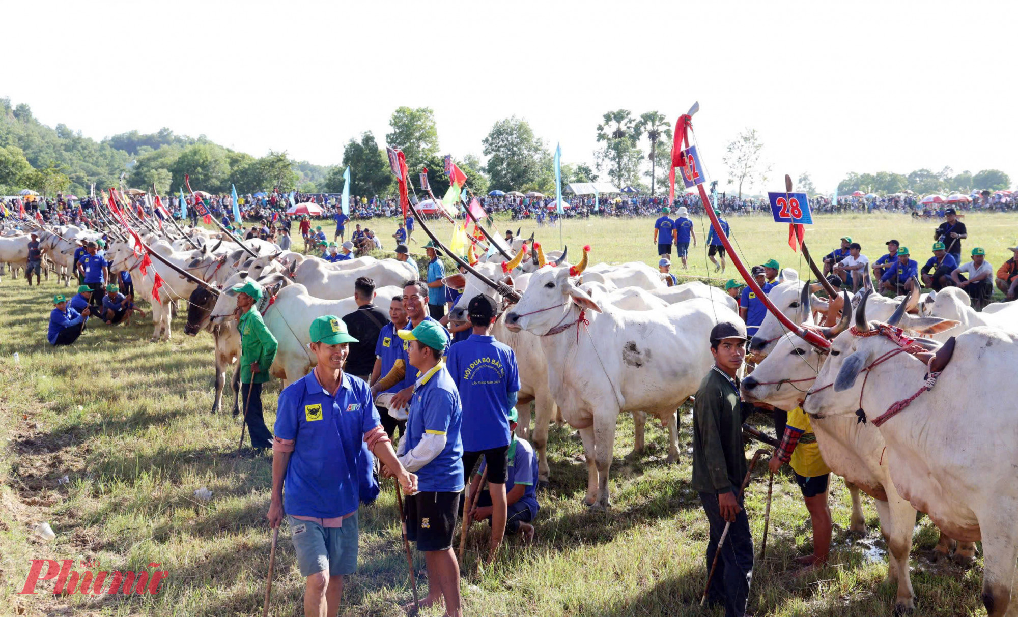 Ngày 20/9, UBND tỉnh An Giang tổ chức hội đua bò Bảy Núi tranh Cúp Truyền hình An Giang (ATV) lần thứ 30 năm 2025 tại trung tâm Thể thao – Du lịch Tà Pạ – Soài Chek. Ảnh: Minh Trung