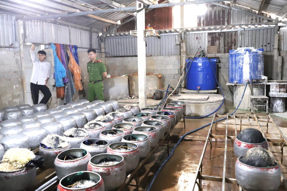 Bên trong cơ sở sản xuất giá đỗ của bà Tuyết - Ảnh công an cung cấp