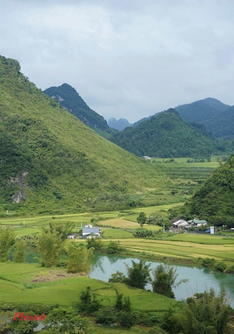  Không chỉ là nơi thưởng ngoạn phong cảnh, mùa lúa chín ở Cao Bằng còn là cơ hội tuyệt vời để ghi lại những khoảnh khắc ấn tượng. Từng tia nắng vàng buông xuống cánh đồng, phản chiếu sắc lúa óng ánh, tạo nên khung cảnh vừa hùng vĩ vừa nên thơ.