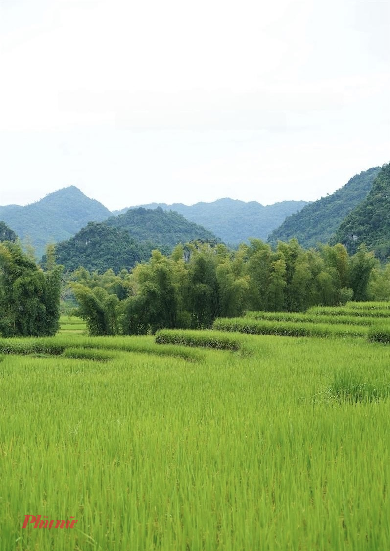 từ Hà Nội, du khách có thể lựa chọn đi xe khách hoặc xe giường nằm từ bến xe Mỹ Đình, với thời gian di chuyển khoảng 6 – 8 tiếng. Một lựa chọn khác là tự lái xe hoặc đi xe máy theo quốc lộ 3, cung đường dài hơn 280 km, băng qua những cung đèo quanh co, cảnh sắc núi non trùng điệp.