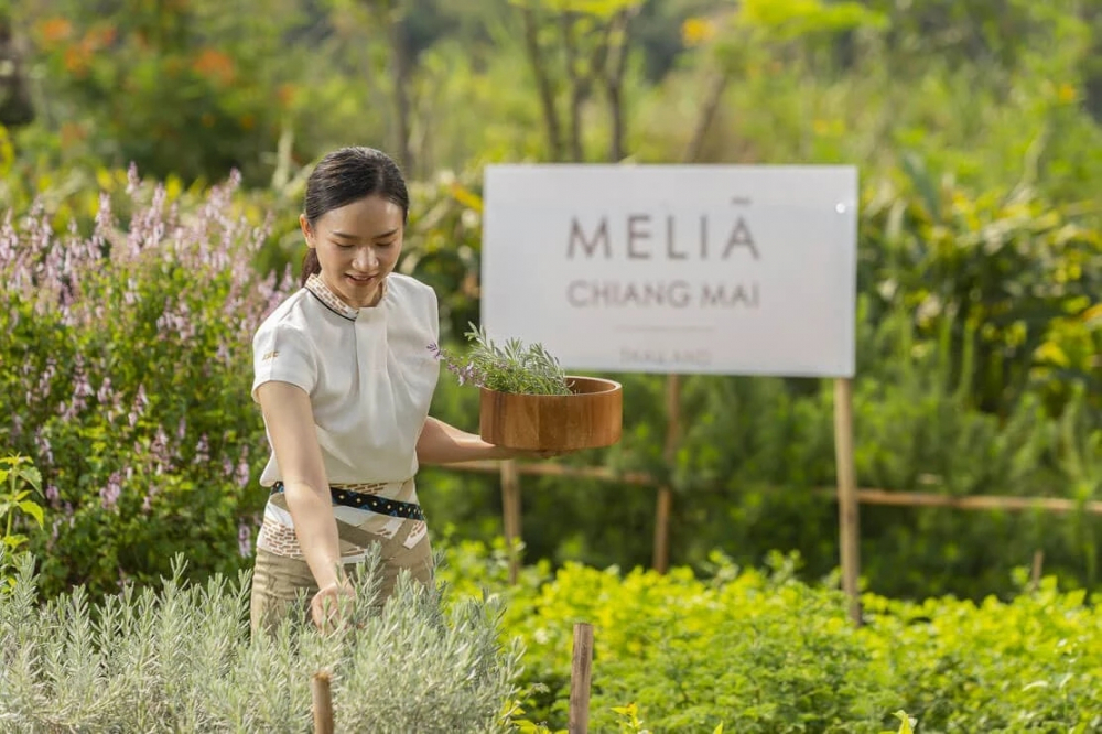Nơi lưu trú: Meliá Chiang Mai nằm bên sông Ping, là một nơi lưu trú lồng ghép tính bền vững trong mọi chi tiết: từ thực đơn 360° Cuisine chế biến nông sản thành các món ăn không rác thải, đến không gian The GALLERY trưng bày các tác phẩm nghệ thuật của nghệ nhân người Thái, với toàn bộ lợi nhuận được sử dụng tái đầu tư cho hơn 40 cộng đồng địa phương nhằm gìn giữ văn hóa truyền thống nơi đây.