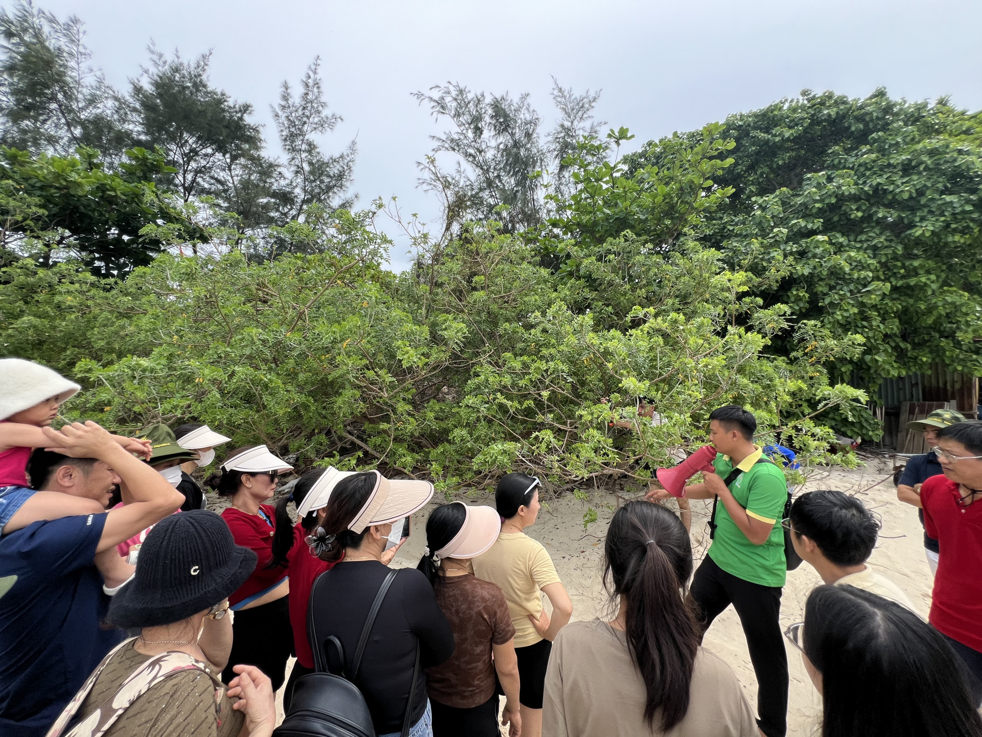 Đoàn khách du lịch nghe hướng dẫn viên giới thiệu về hệ sinh thái tại Côn Đảo