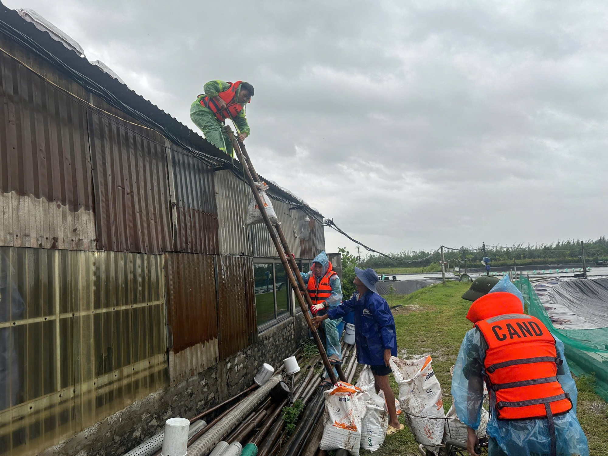 Các lực lượng chức năng hỗ trợ người dân chằng chống nhà cửa chống bão - Ảnh: Khánh Trung
