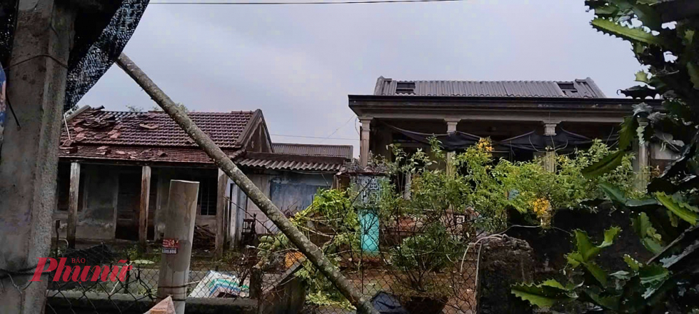 Cây cối ngã đổ khắp làng An Xuân