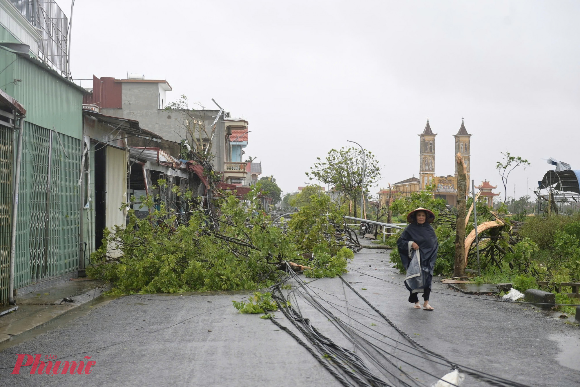 cây cối đổ ngổn ngang.  Các công trình hư hại nặng nề. 