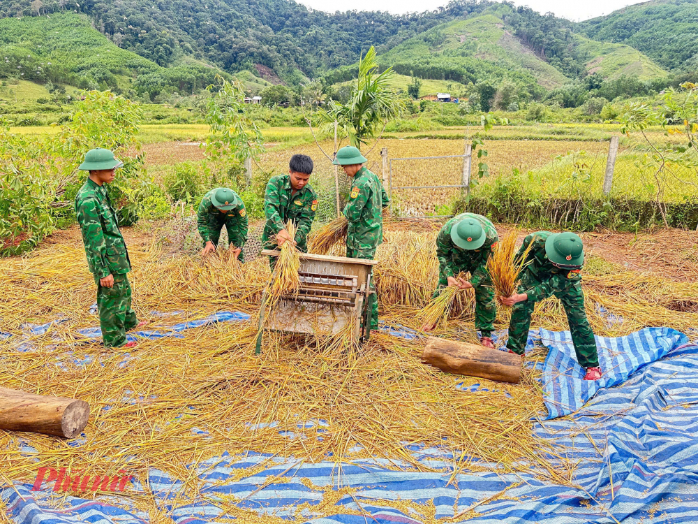Tại các xã Tại huyện miền núi A Lưới, lực lượng biên phòng được điều động phối hợp cùng địa phương tiếp tục thu hoạch lúa hè thu còn dang dở sau mưa bão, nhằm hạn chế thiệt hại do thiên tai.